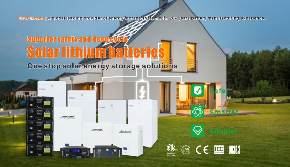 Apa saja aspek sistem penyimpanan energi baterai?
