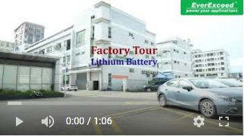 Pabrik baterai EverExceed Lithium
